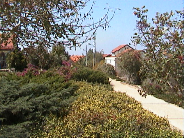 שבילי מנוף
